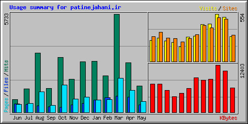 Usage summary for patinejahani.ir